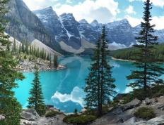 世俱杯-欧文绝杀穿越宿敌，从湖人恩怨到公牛救世，一球斩断双重宿命