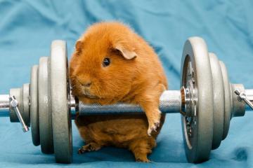 世俱杯分组-恩佐主宰全场！比利亚雷亚尔3-1强势击溃佛罗伦萨，欧战资格战现曙光