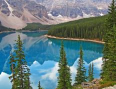 世俱杯决赛-拉什福德关键战不手软，解码塞内加尔与委内瑞拉的硬仗基因对决