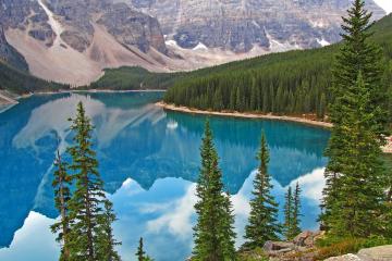 世俱杯决赛-拉什福德关键战不手软，解码塞内加尔与委内瑞拉的硬仗基因对决