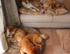 世俱杯分组-C罗临危受命扛起全队，墨西哥惊天逆转莱比锡红牛