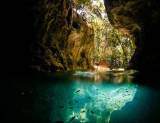 世俱杯分组-绝境突围，从欧冠绿茵到掘金硬仗的胜利哲学