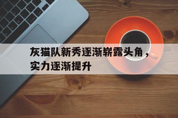 世俱杯奖金-灰猫队新秀逐渐崭露头角，实力逐渐提升的简单介绍