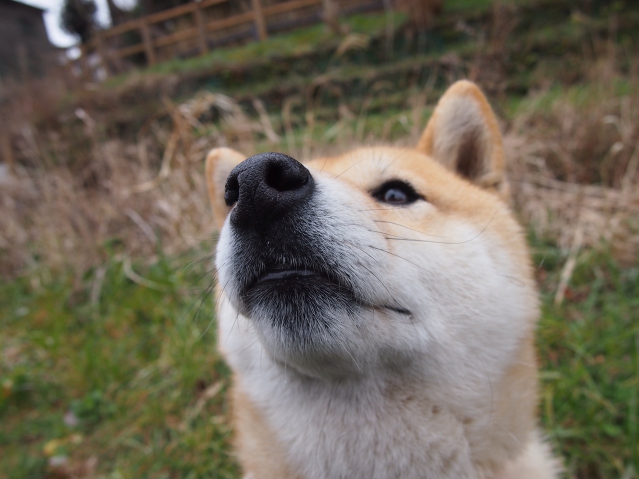 世俱杯改制-足球之夜,西班牙逆转智利惊险取胜,李刚仁数据统治赛场显锋芒