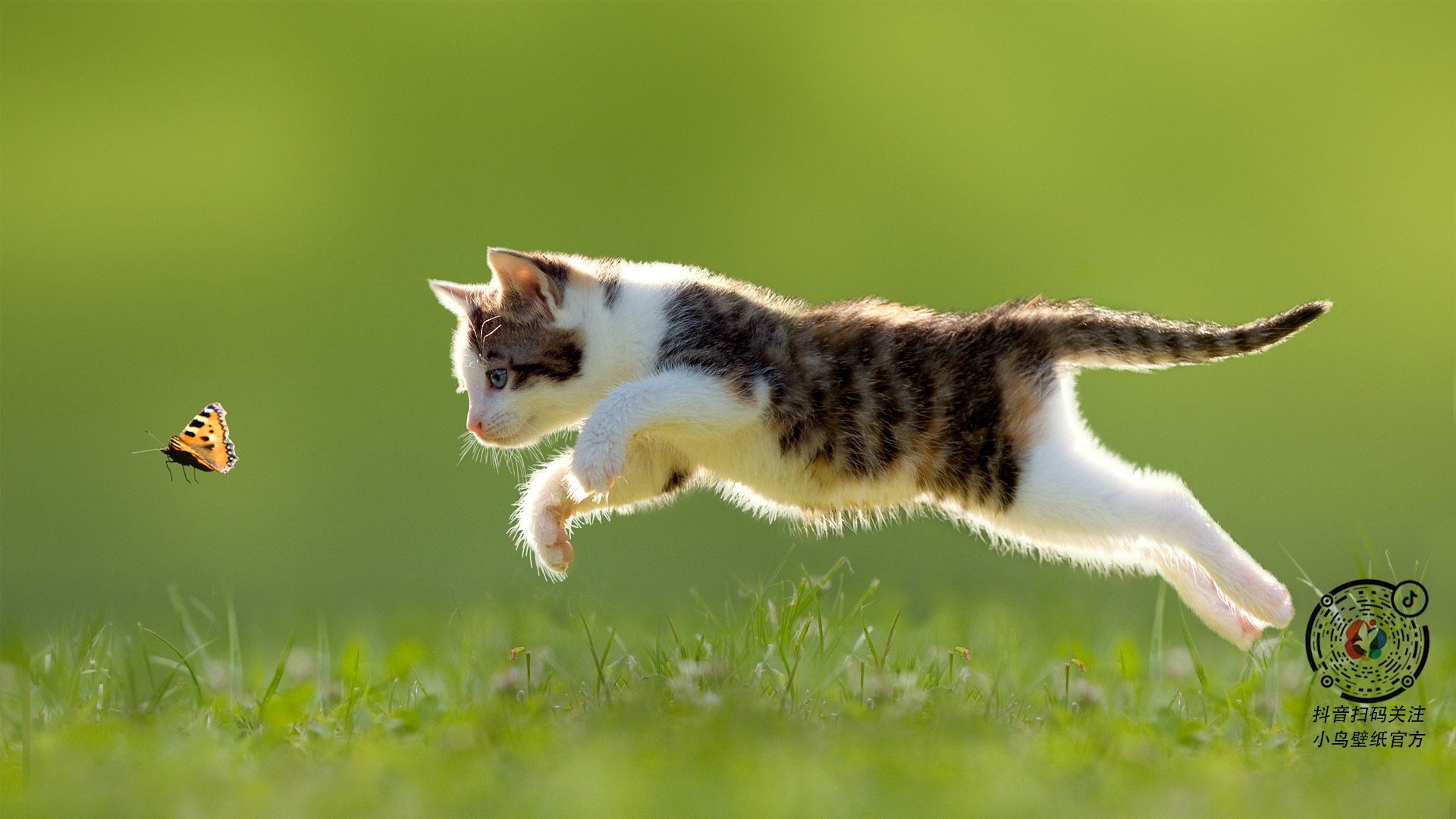 世俱杯时间-撕裂旧梦的利刃，德罗赞的冷酷与骑士新生代的铁血宣言