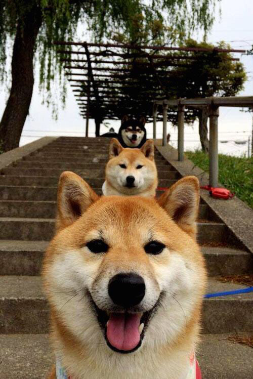 世俱杯时间-铁马冰河入梦来,杰伦·格林梦碎华盛顿之夜