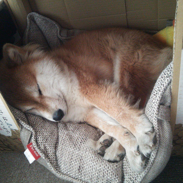 世俱杯赛程-欧冠决赛之夜，李刚仁，那个用足球写诗的节奏大师