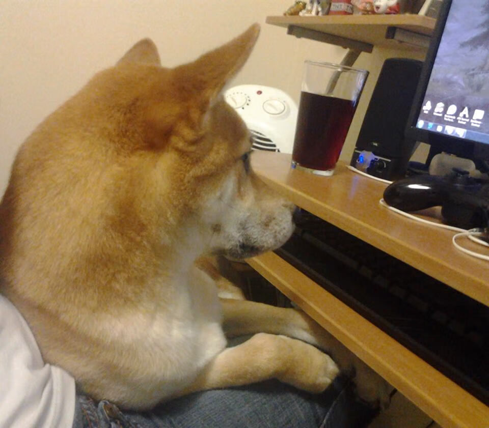 世俱杯改制-跨界奇迹,巴黎险胜卡塔尔,德里赫特NBA总决赛接管比赛