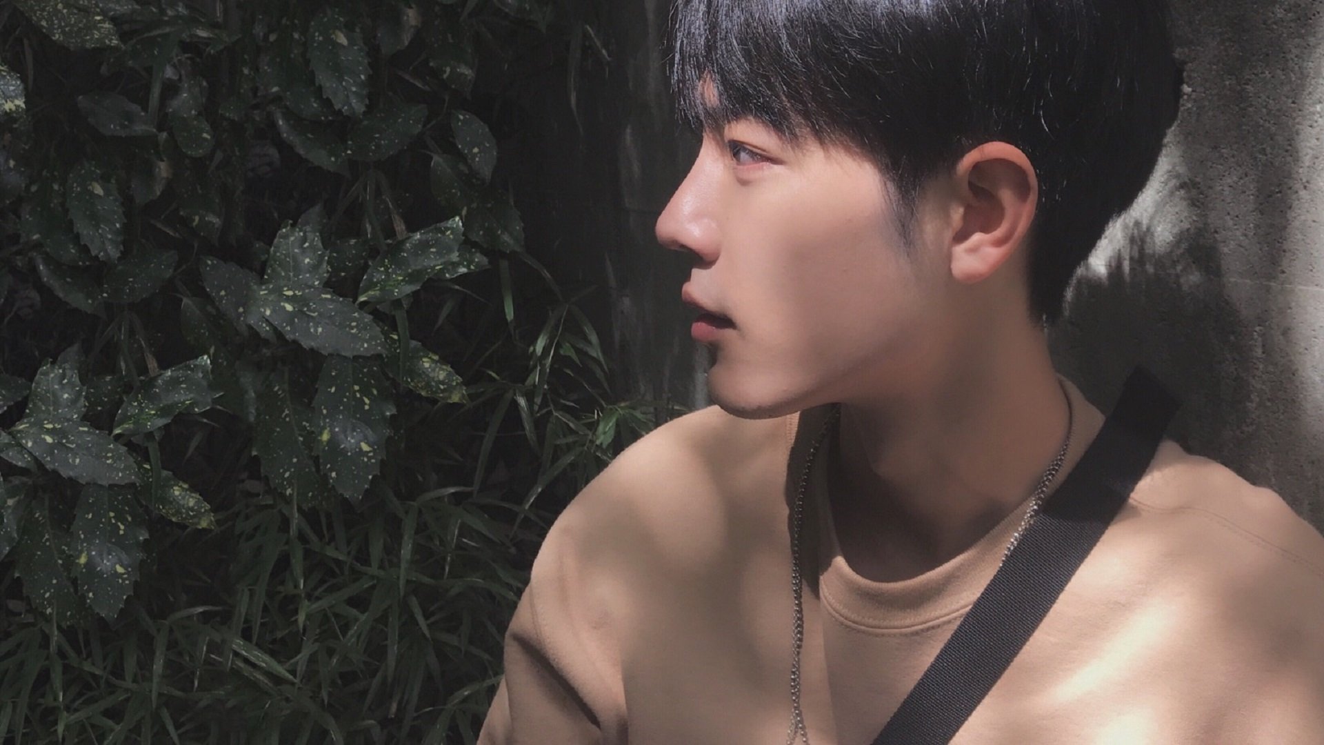 世俱杯分组-足球之夜的双重奏，塞内加尔的坚韧与厄德高的魔法