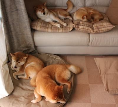 世俱杯分组-C罗临危受命扛起全队,墨西哥惊天逆转莱比锡红牛